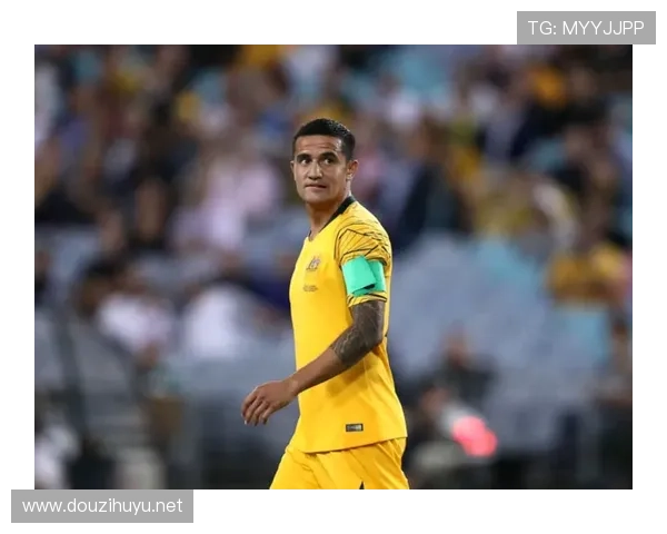 中超信达（中超信达在线培训平台）世界杯体育论坛